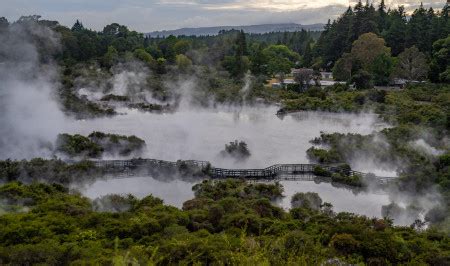 whakarewarewa the living maori village|whaka village.